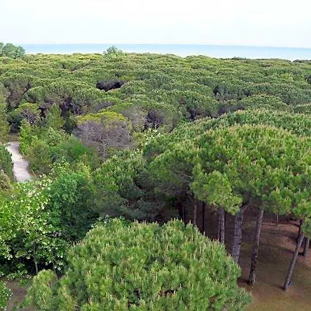 索尔酒店 3* 伊拉克里亚马勒