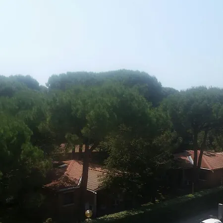 Sole 3*