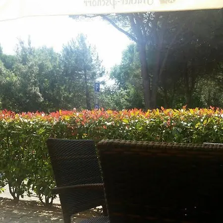 Sole 3*
