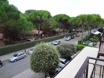 Sole
